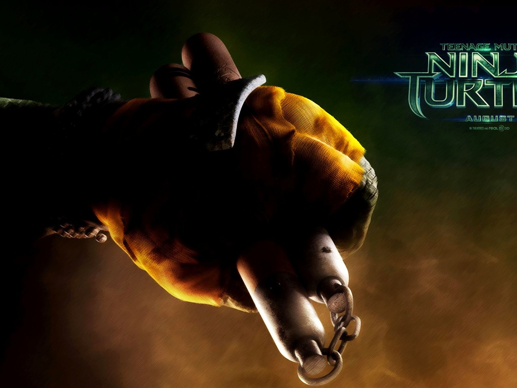 2014 Teenage Mutant Ninja Turtles HD movie wallpapers #7 - 1024x768