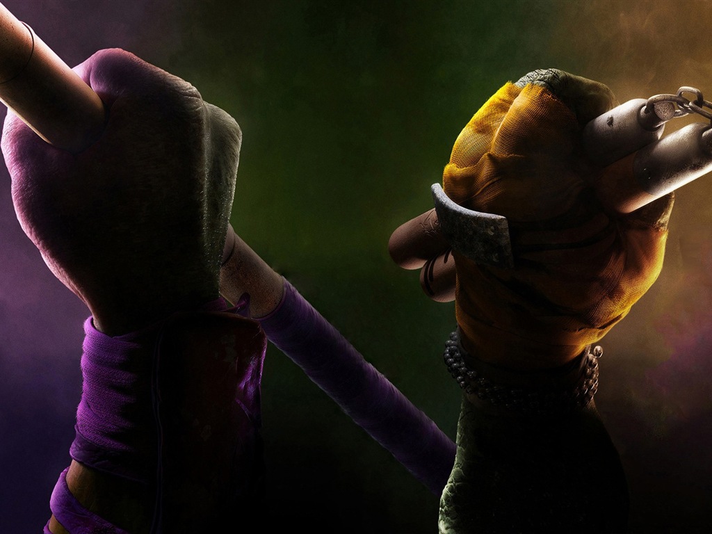 2014 Teenage Mutant Ninja Turtles films HD fonds d'écran #10 - 1024x768