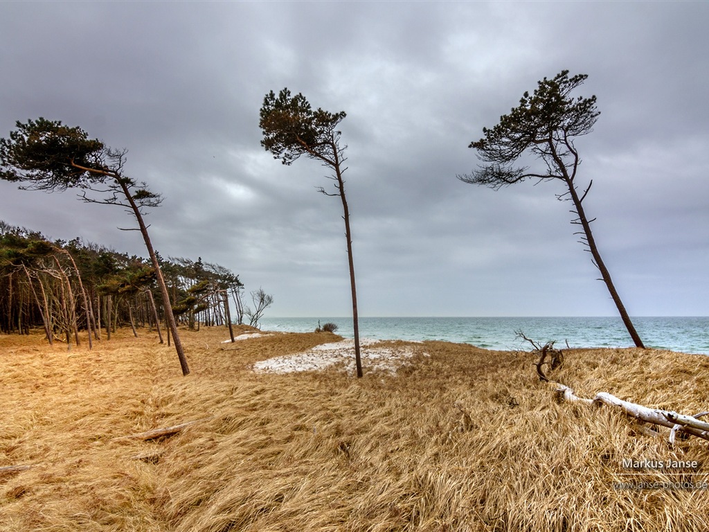 독일의 아름다운 해안 풍경, 윈도우 8의 HD 배경 화면 #18 - 1024x768