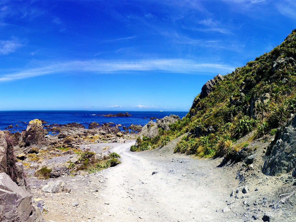 新西兰迷人的风景，Windows 8 主题壁纸3 - 1024x768