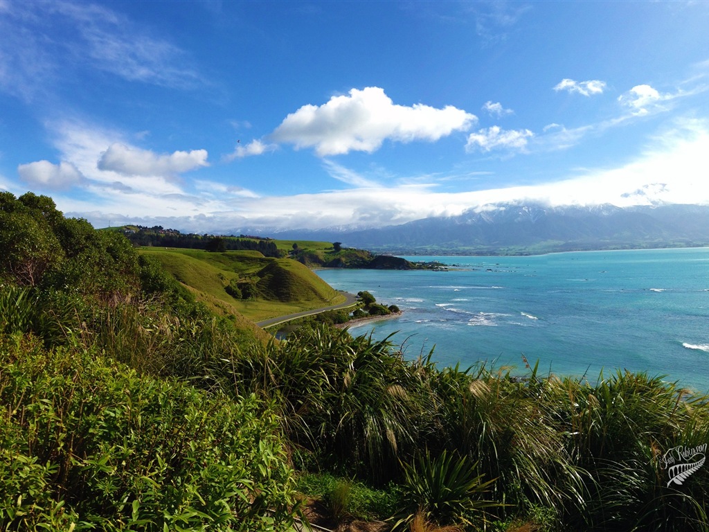 新西兰迷人的风景，Windows 8 主题壁纸7 - 1024x768