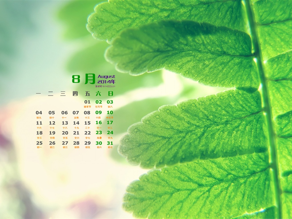 August 2014 calendar wallpaper (1) #14 - 1024x768