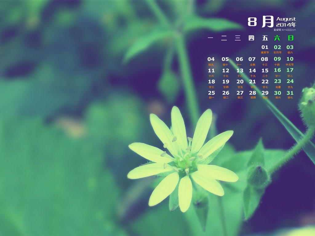 2014年8月 月曆壁紙(一) #15 - 1024x768