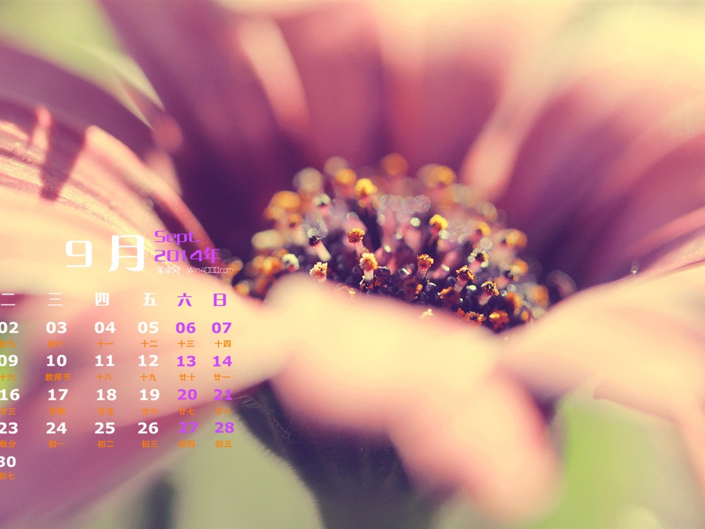 September 2014 Kalender Tapete (1) #16 - 1024x768
