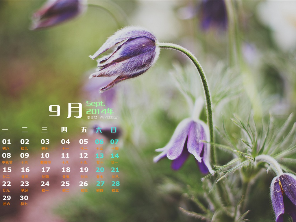 09. 2014 Kalendář tapety (1) #17 - 1024x768
