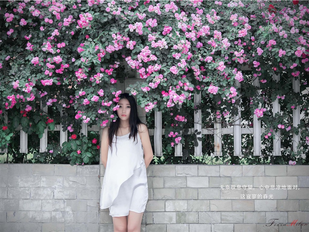 Schöne Mädchen mit Rosen Blume HD Wallpaper #7 - 1024x768