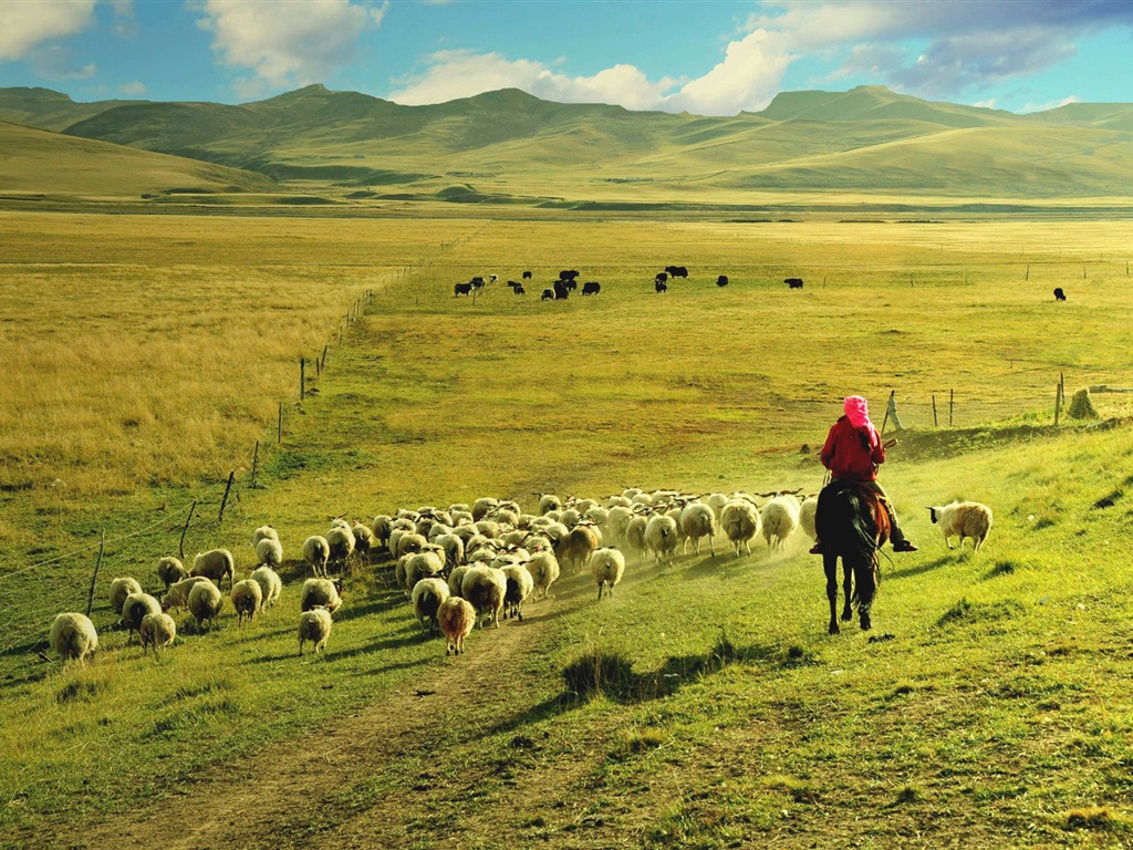 Qinghai-Plateau schöne Landschaft Tapeten #7 - 1024x768