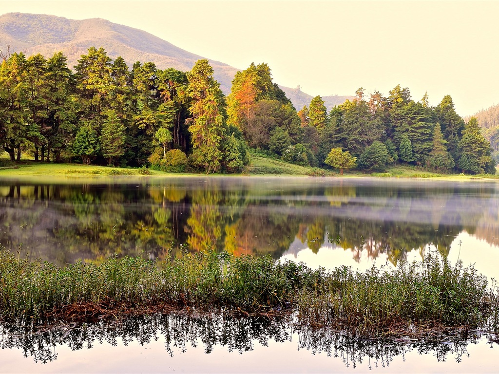 Sunshine lagos forestales belleza de la naturaleza HD papel tapiz #14 - 1024x768
