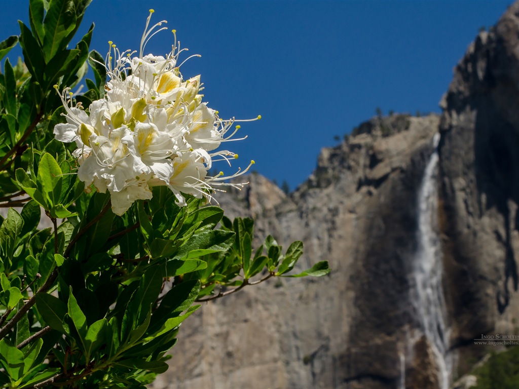 Windows 8 theme, Yosemite National Park HD wallpapers #4 - 1024x768