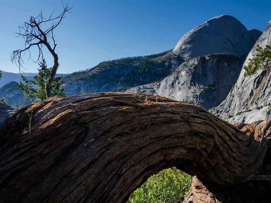Windows 8 thème, Parc national de Yosemite fonds d'écran HD #7 - 1024x768