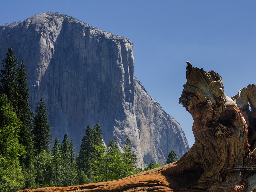 Windows 8 theme, Yosemite National Park HD wallpapers #10 - 1024x768