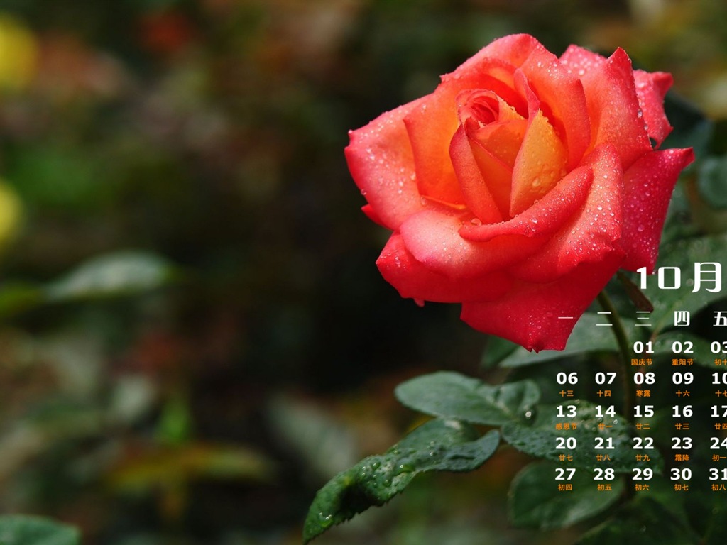 Октябрь 2014 Календарь обои (1) #12 - 1024x768