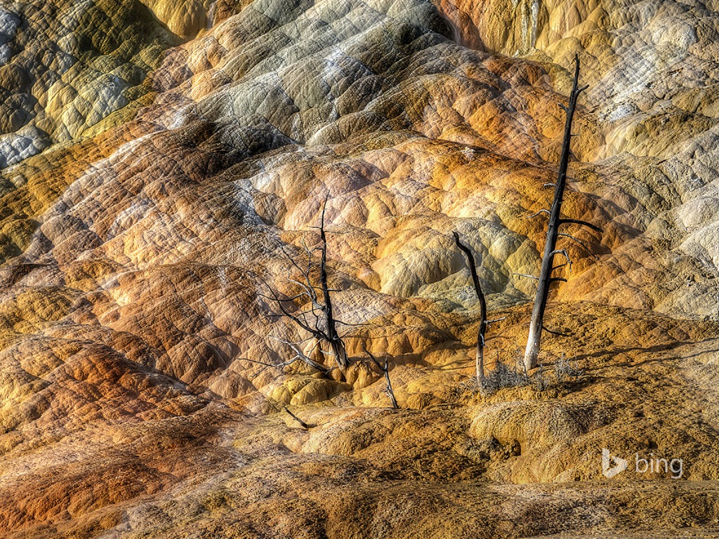 Oktober 2014 Bing Landschaft HD Wallpaper #17 - 1024x768