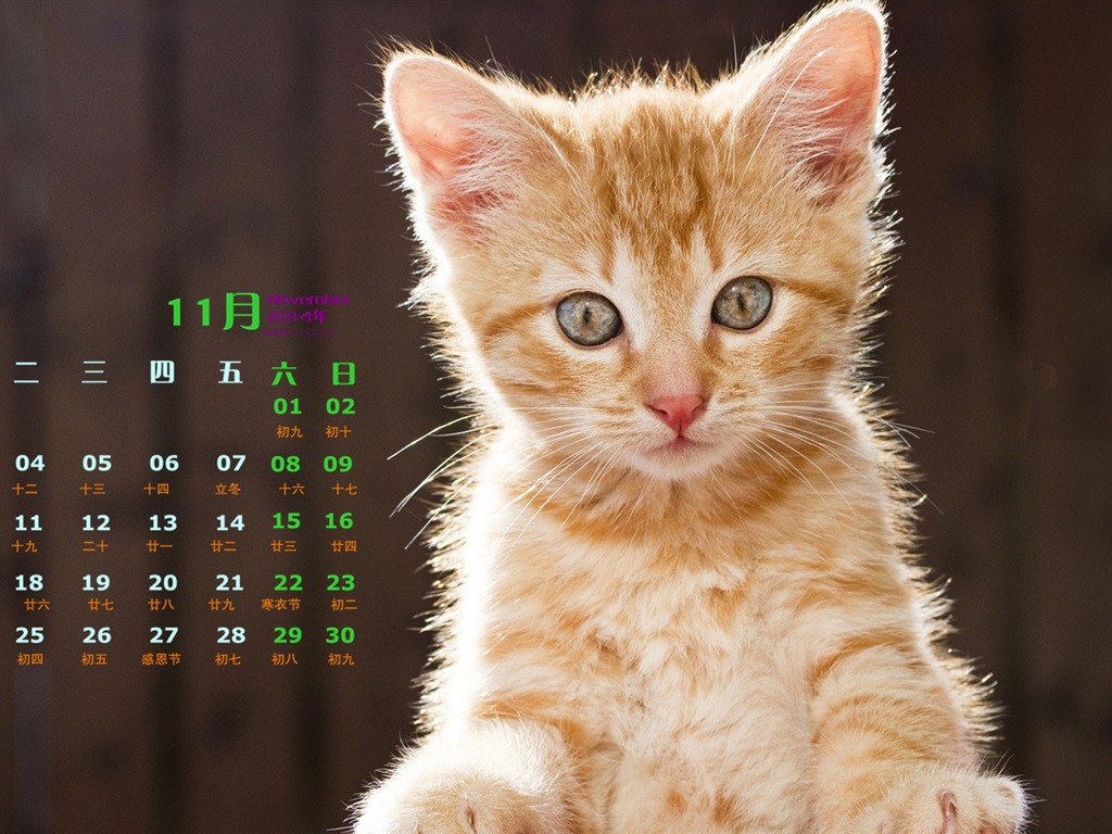 Ноябрь 2014 Календарь обои (1) #5 - 1024x768