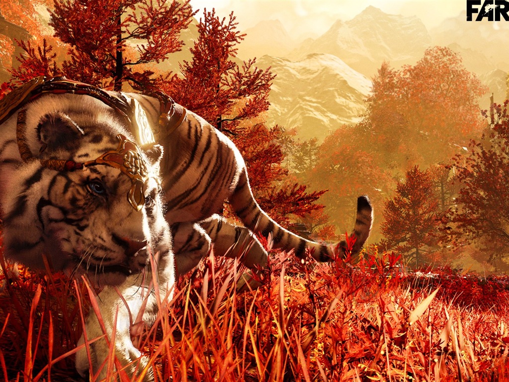 Far Cry 4 HD fondos de pantalla de juegos #2 - 1024x768