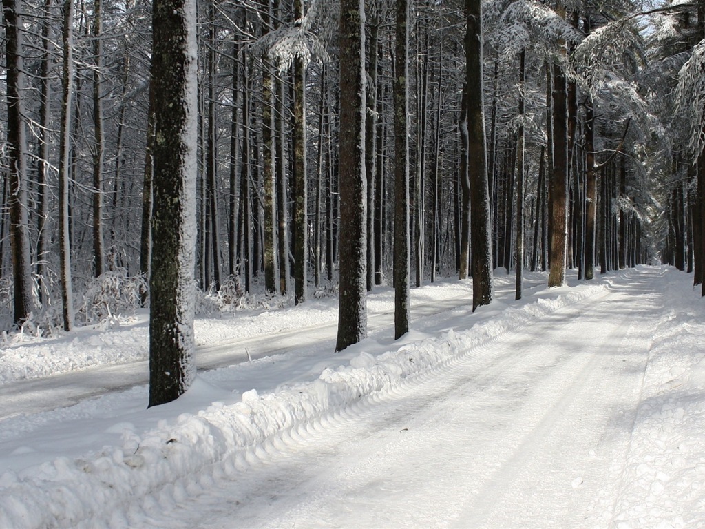 冬天的雪景，山，湖，树木，道路 高清壁纸3 - 1024x768