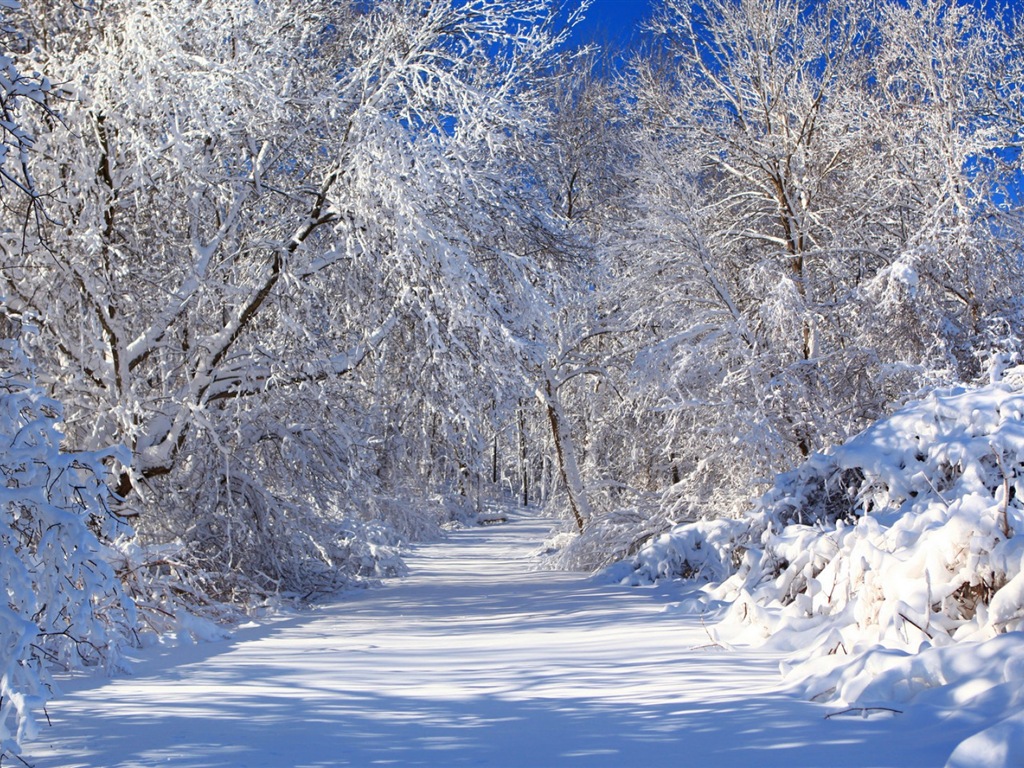 겨울, 눈, 산, 호수, 나무, 도로의 HD 배경 화면 #5 - 1024x768