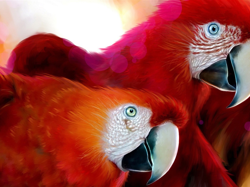 Macaw close-up fonds d'écran HD #28 - 1024x768