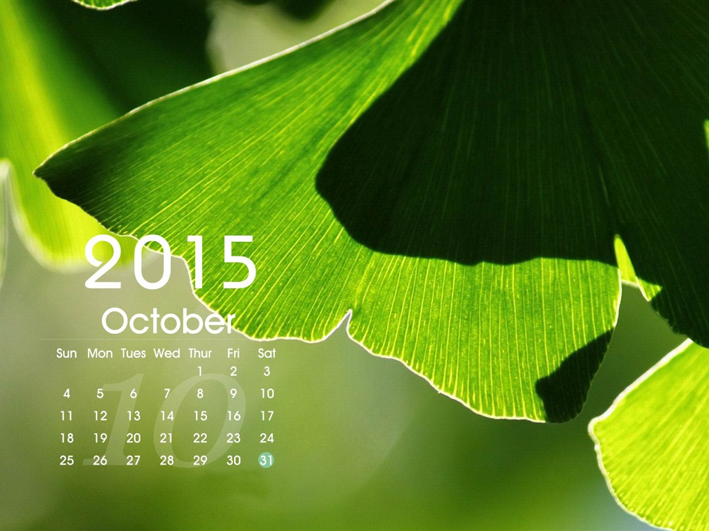 Calendario 2015 fondos de pantalla de alta definición #15 - 1024x768