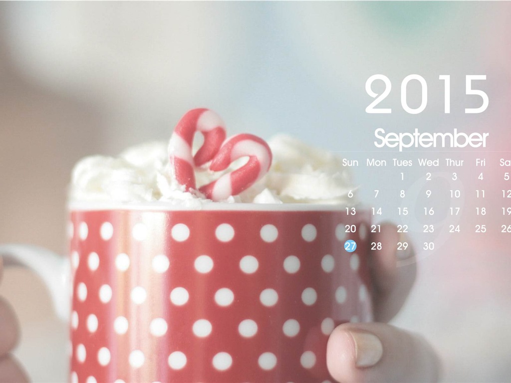 Calendario 2015 fondos de pantalla de alta definición #16 - 1024x768