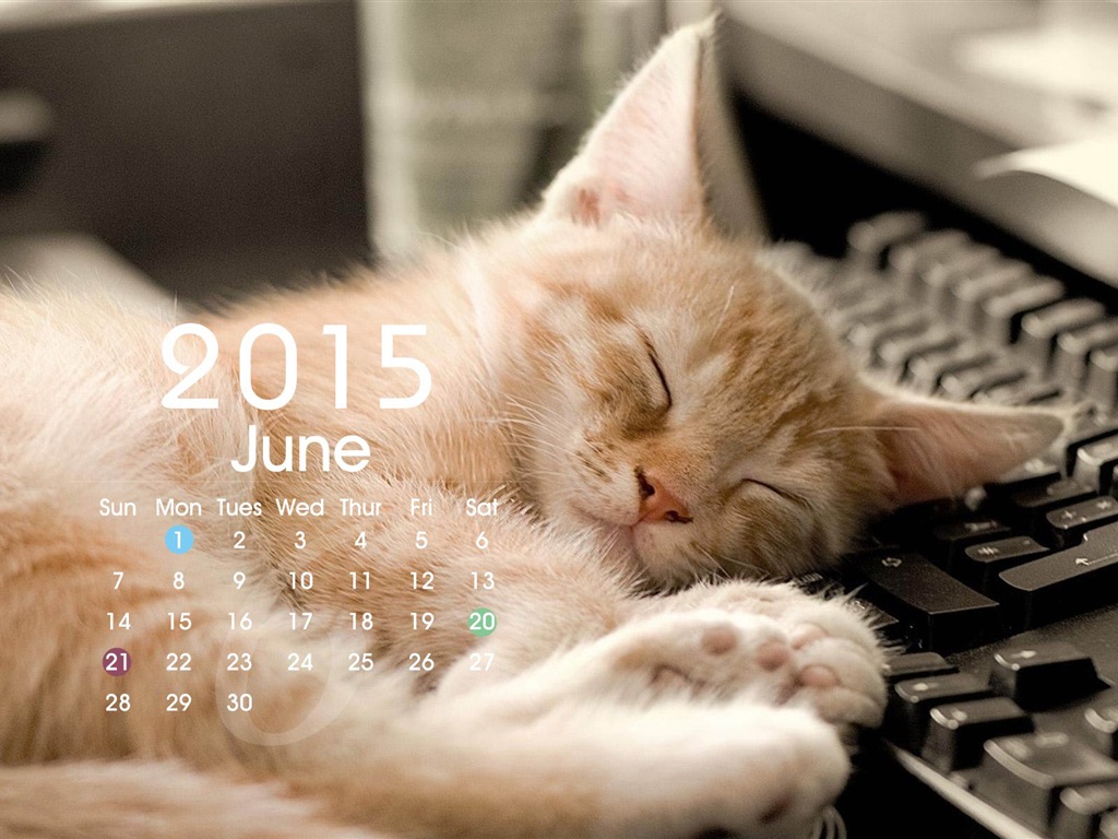 Calendario 2015 fondos de pantalla de alta definición #19 - 1024x768