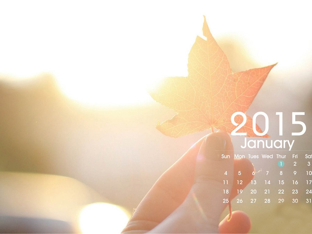 Calendario 2015 fondos de pantalla de alta definición #23 - 1024x768