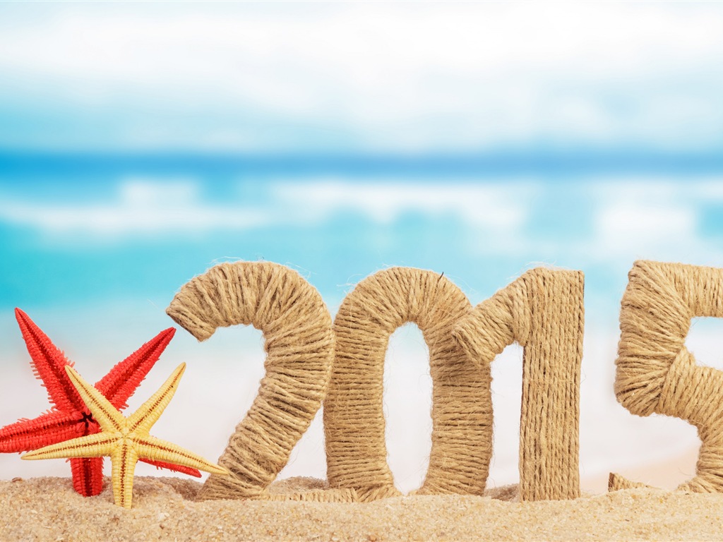 2015 New Year theme HD wallpapers (1) #13 - 1024x768