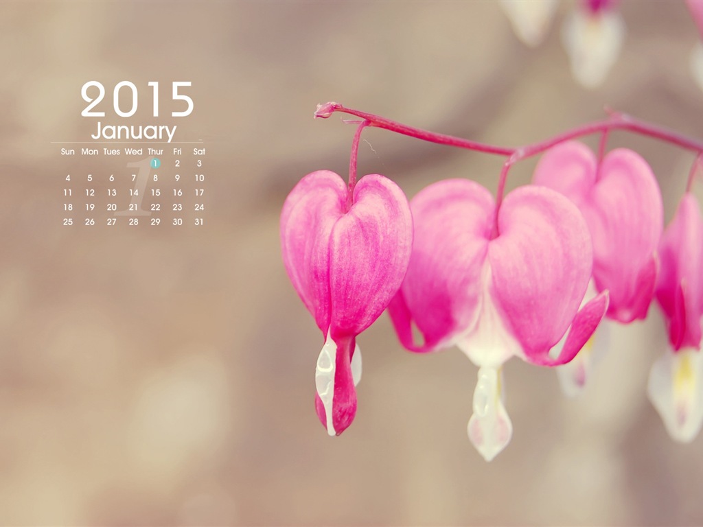 January 2015 calendar wallpaper (1) #9 - 1024x768