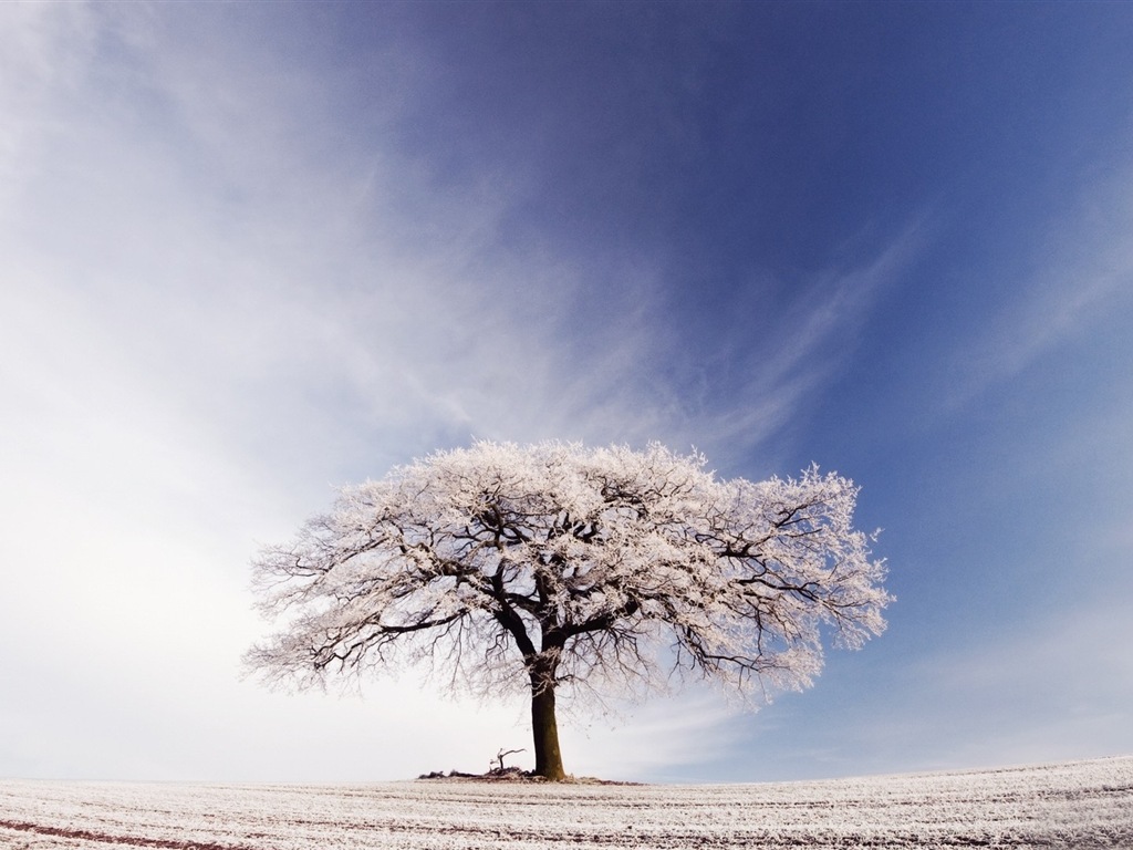 La nieve del invierno fondos de pantalla HD hermoso paisaje #4 - 1024x768