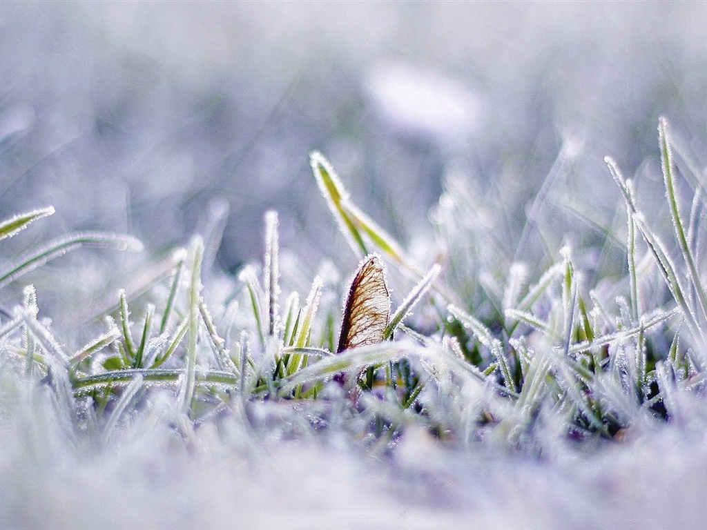 겨울 눈 아름다운 풍경의 HD 월페이퍼 #5 - 1024x768