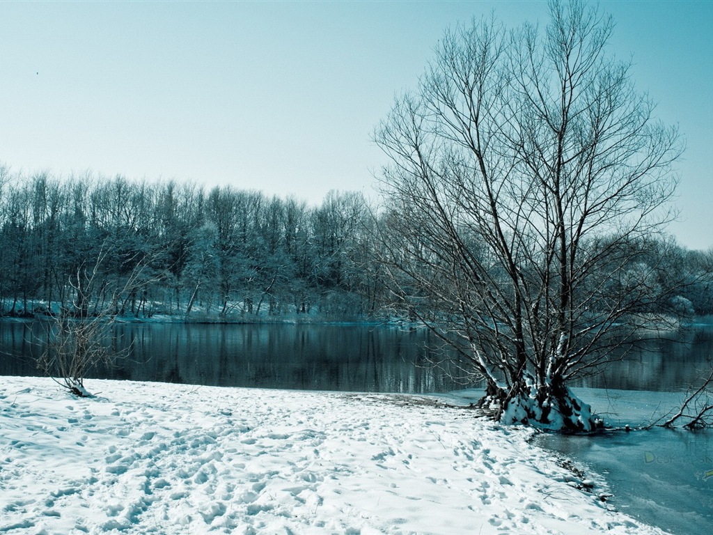 Zimní sníh Nádherná příroda HD tapety na plochu #6 - 1024x768