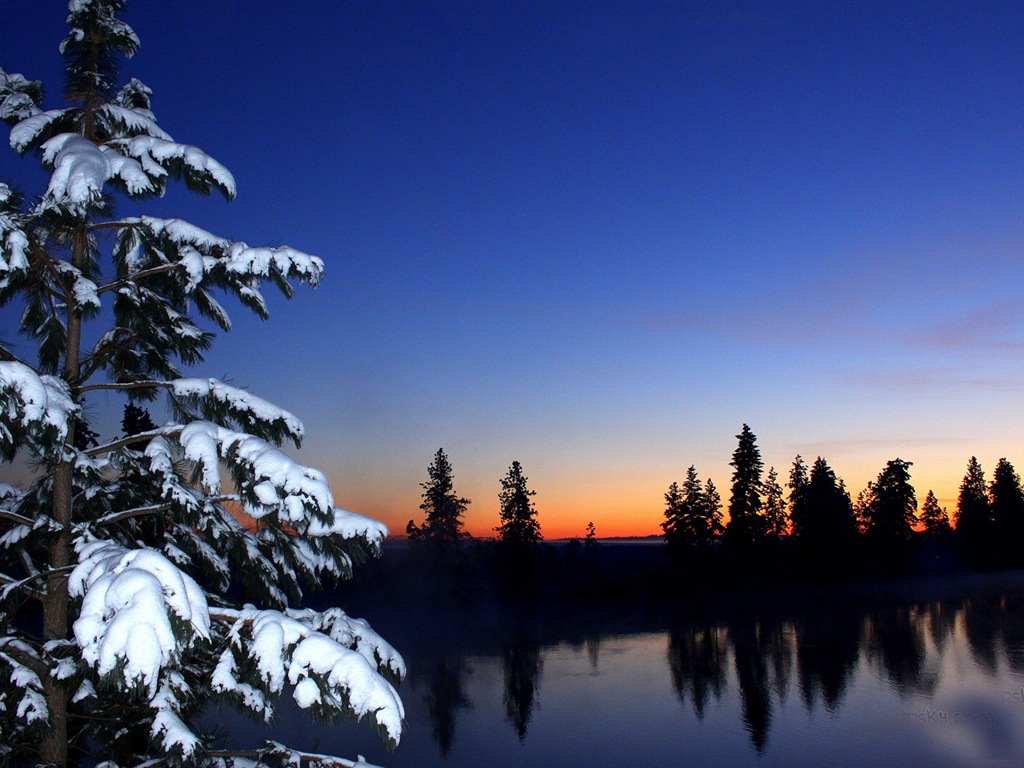 冬の雪の美しい風景のHDの壁紙 #10 - 1024x768
