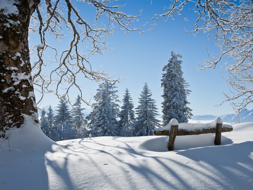 Zimní sníh Nádherná příroda HD tapety na plochu #13 - 1024x768