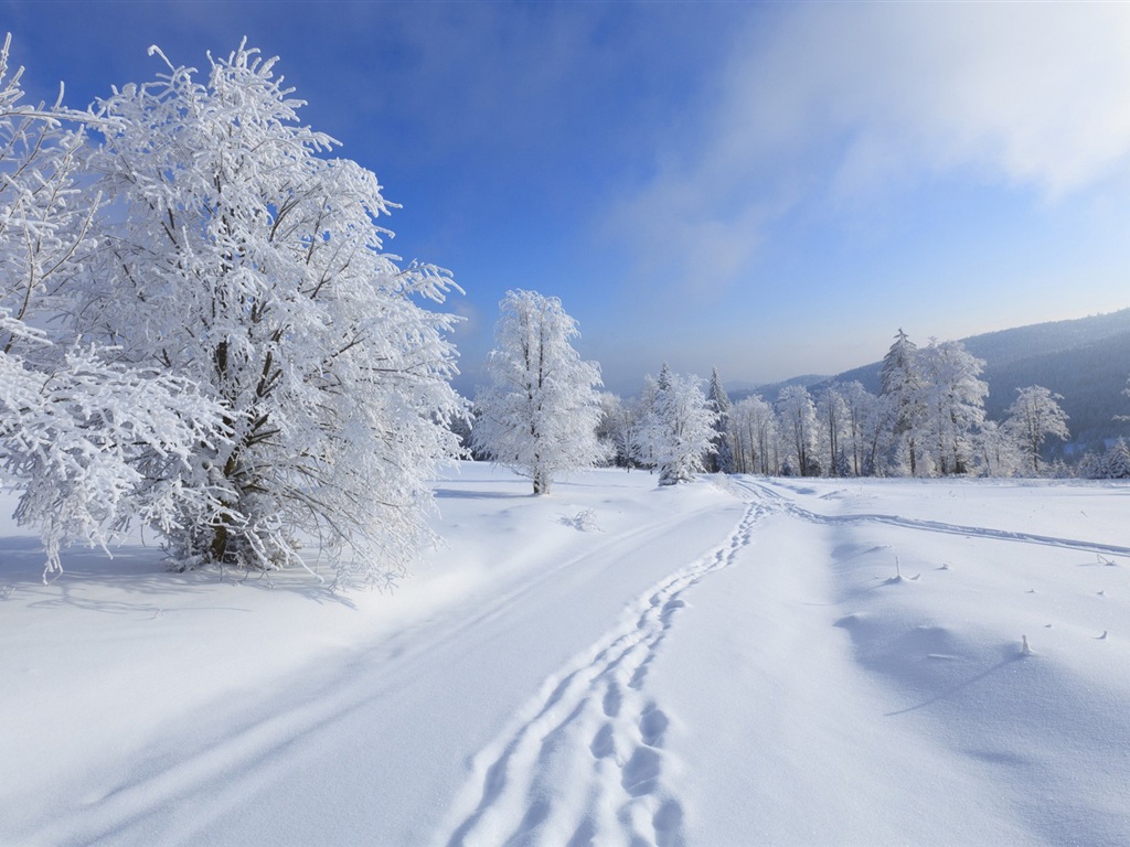 冬の雪の美しい風景のHDの壁紙 #14 - 1024x768
