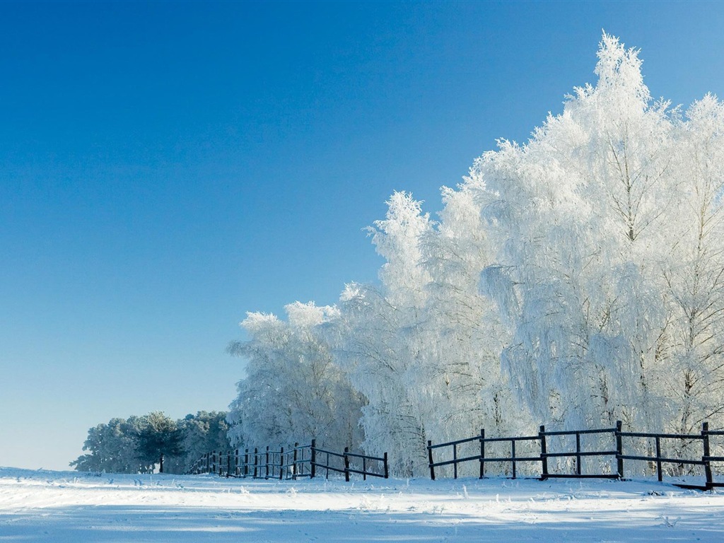 冬の雪の美しい風景のHDの壁紙 #15 - 1024x768