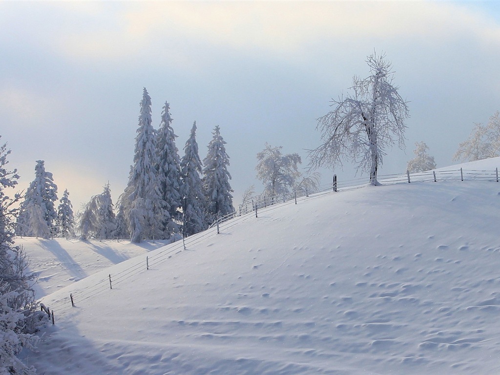 冬の雪の美しい風景のHDの壁紙 #16 - 1024x768