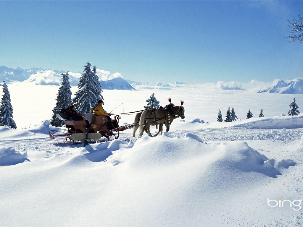 冬の雪の美しい風景のHDの壁紙 #17 - 1024x768
