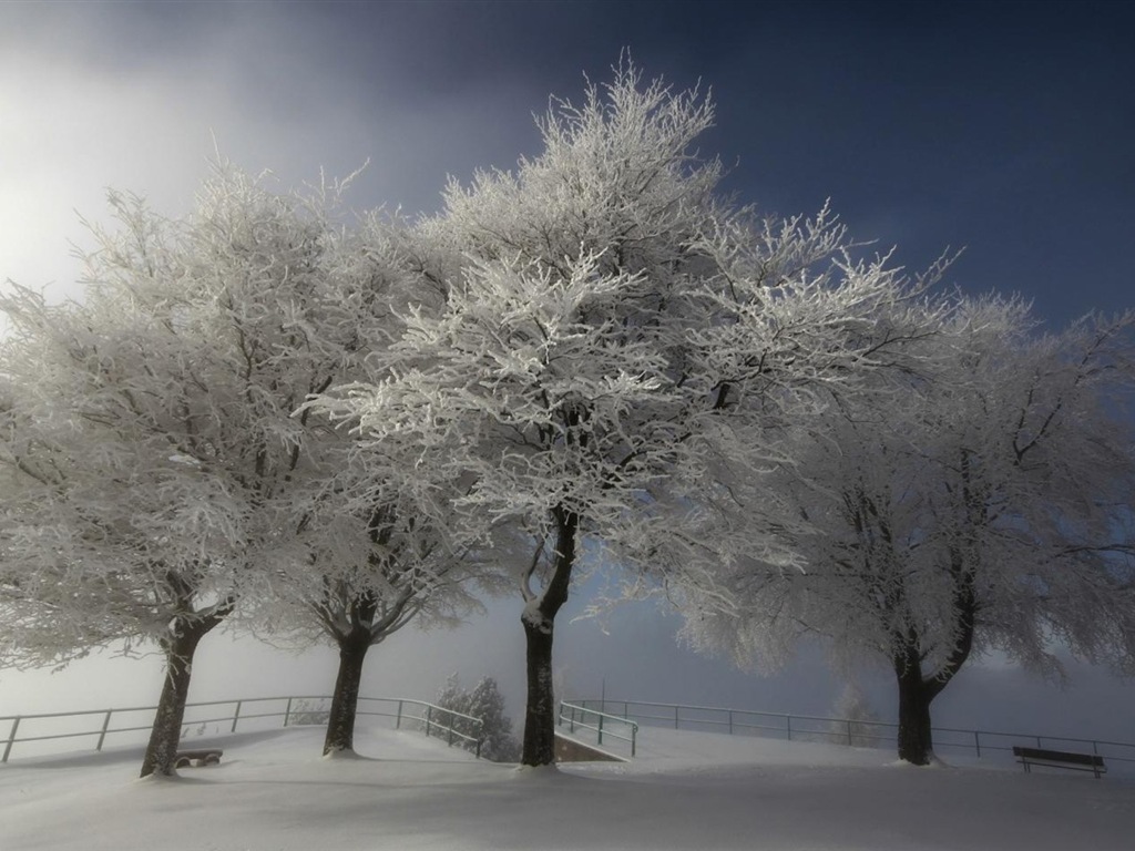 冬の雪の美しい風景のHDの壁紙 #18 - 1024x768