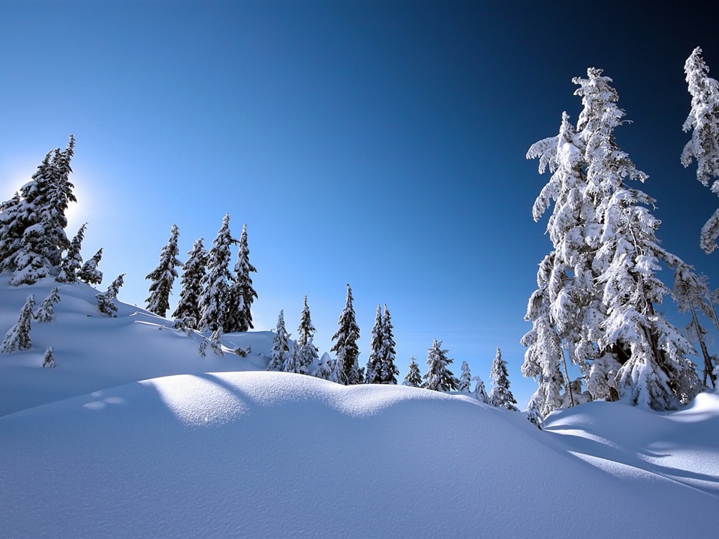 冬の雪の美しい風景のHDの壁紙 #19 - 1024x768