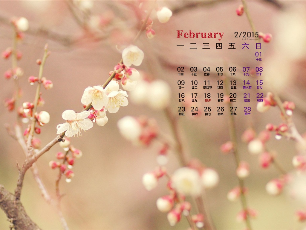 February 2015 Calendar wallpaper (1) #12 - 1024x768