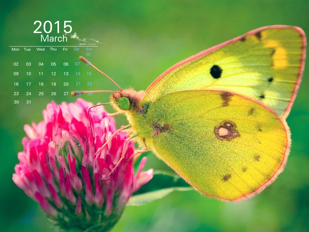 Март 2015 Календарь обои (1) #1 - 1024x768
