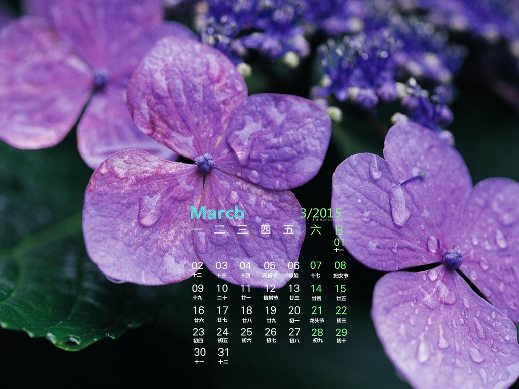 Март 2015 Календарь обои (1) #5 - 1024x768