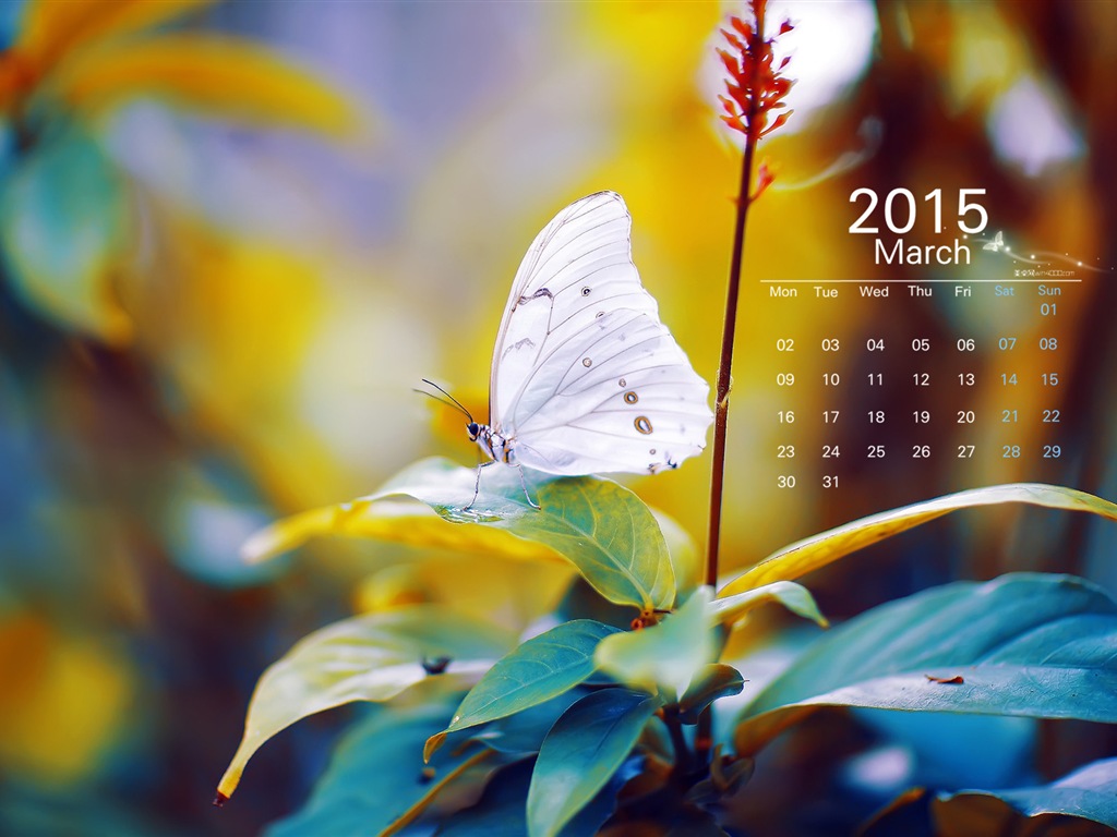 Март 2015 Календарь обои (1) #8 - 1024x768