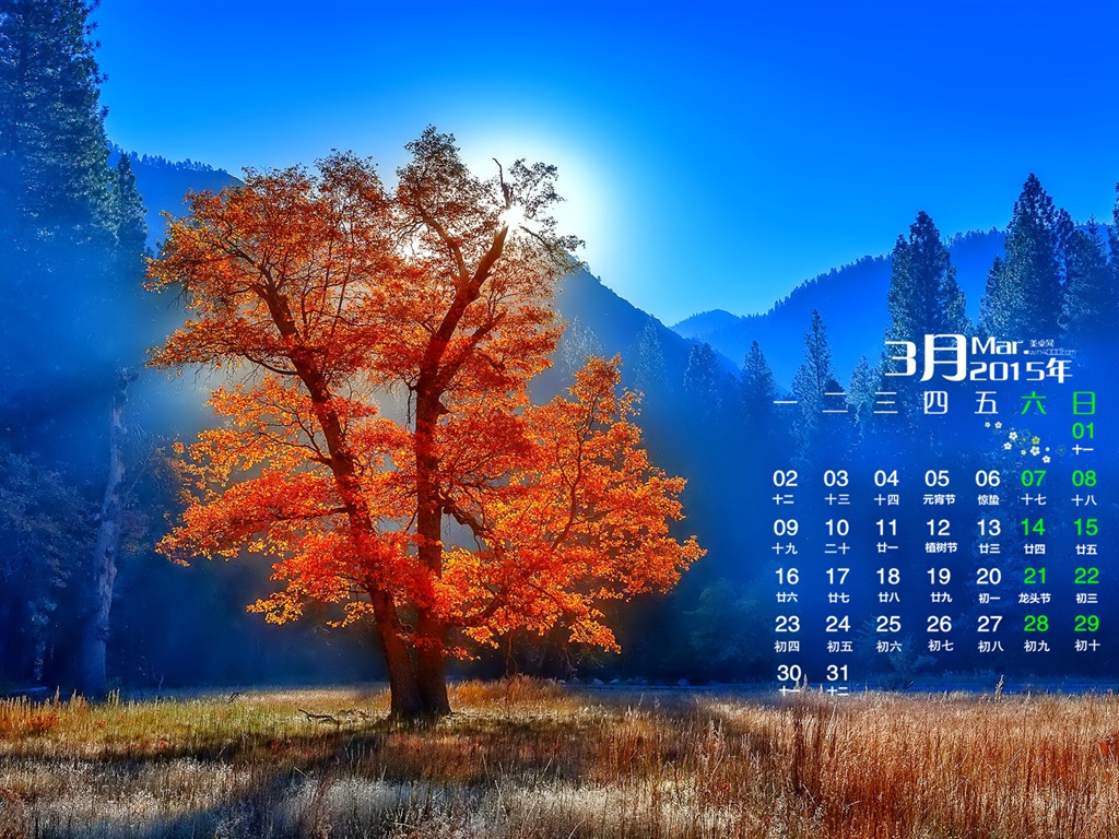Март 2015 Календарь обои (1) #16 - 1024x768