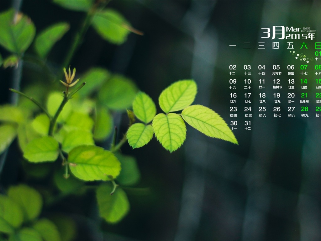 Март 2015 Календарь обои (1) #19 - 1024x768