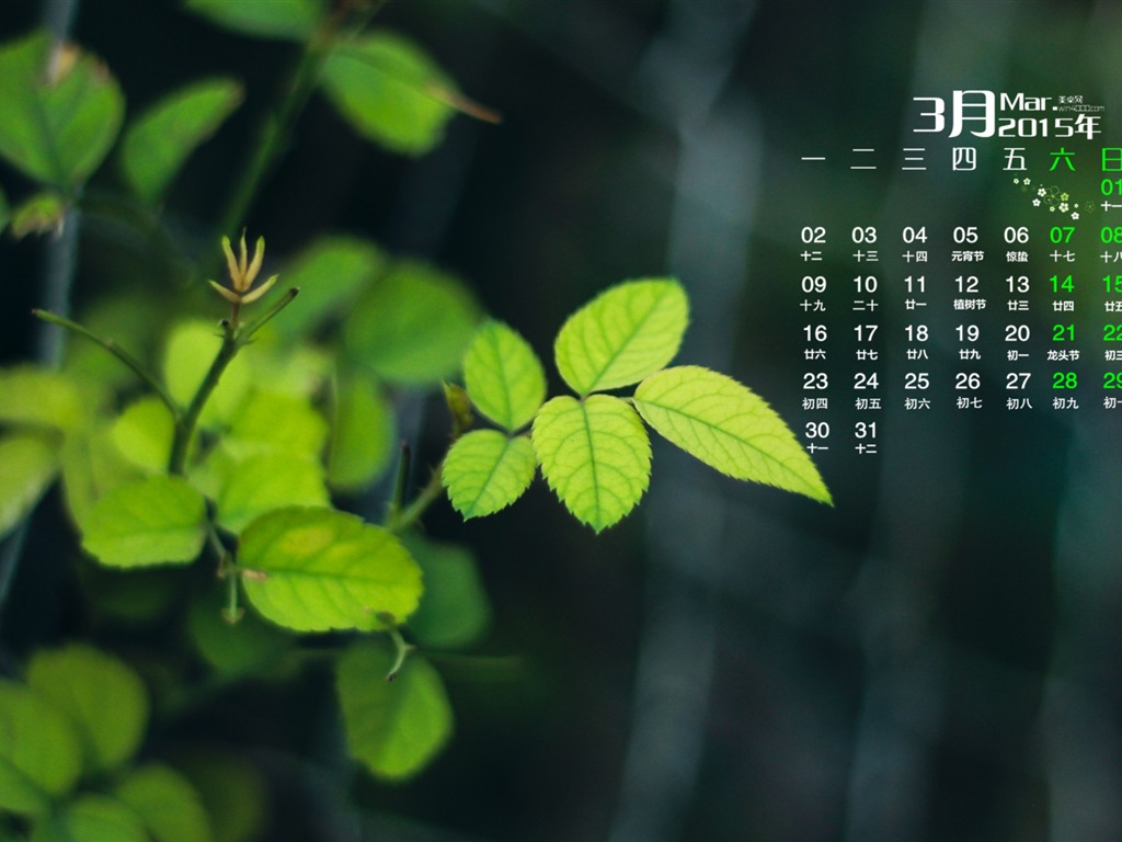 2015년 3월 캘린더 벽지 (1) #19 - 1024x768