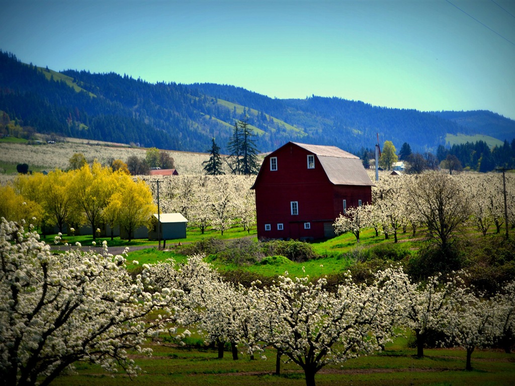 Rural scenery, Windows 8 HD wallpapers #13 - 1024x768
