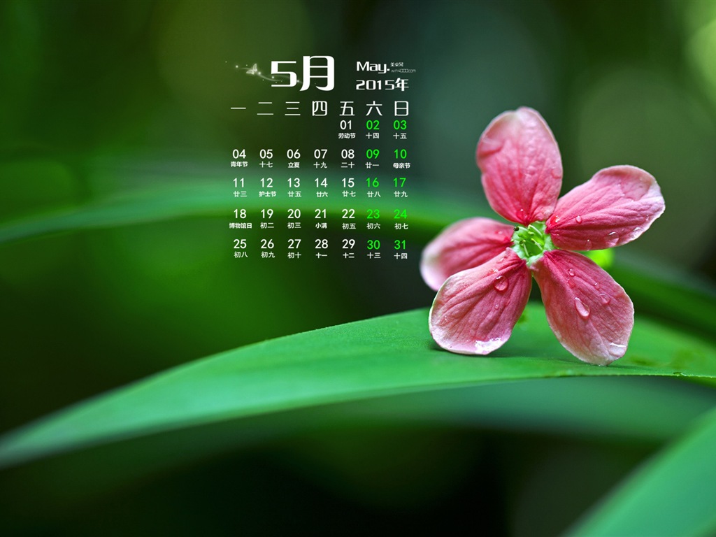 Mai 2015 calendar fond d'écran (1) #8 - 1024x768