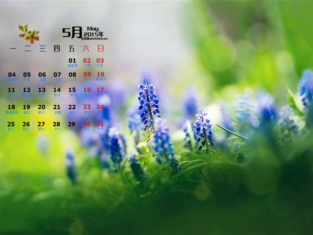 Май 2015 календарный обои (1) #16 - 1024x768