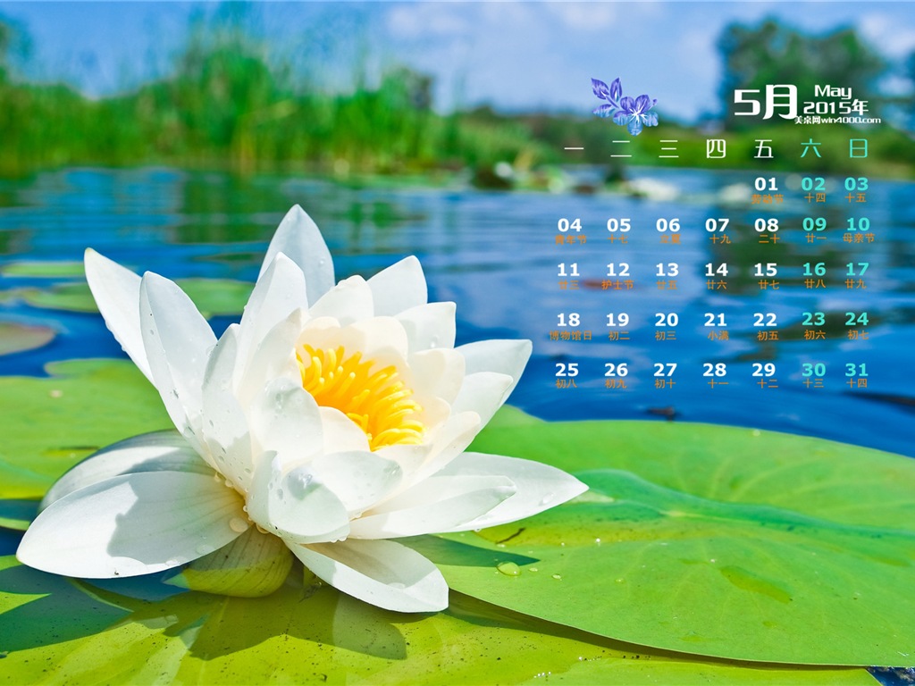 Mai 2015 Kalender Wallpaper (2) #4 - 1024x768
